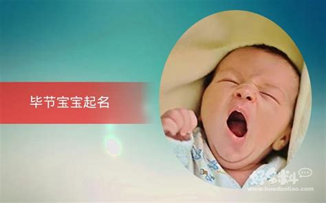 新宝宝起名软件 官方正版取名软件直销 给宝宝取个好名字用新宝宝_q670474