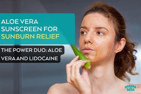 Ultimate Guide to Choosing the Best Aloe Vera with Lidocaine for Sunbu – Habanabrisa