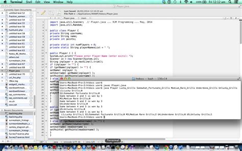 Image result for Java Edition Players