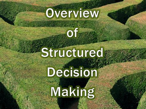 Image result for Structured Decision Making