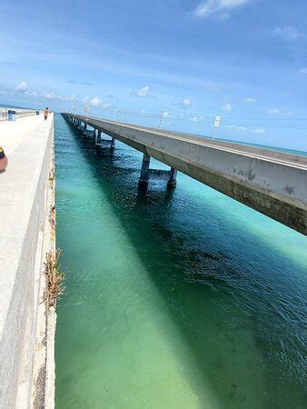 Dive Duck Key - 2022 What to Know Before You Go (with Photos) - Tripadvisor