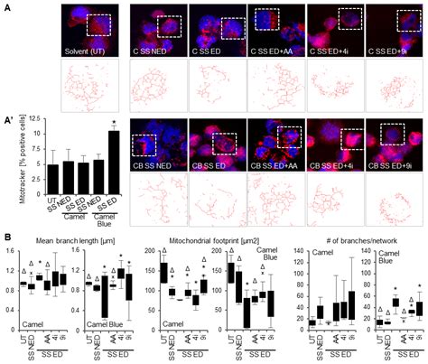 Sidestream Smoke Extracts from Harm-Reduction and Conventional Camel ...