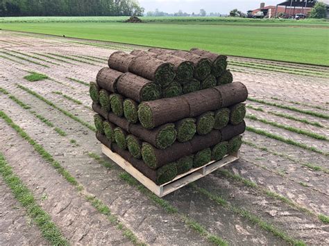 Brouwer 4000 sehr erfolgreich in ganz Europa - European Turfgrass Producers