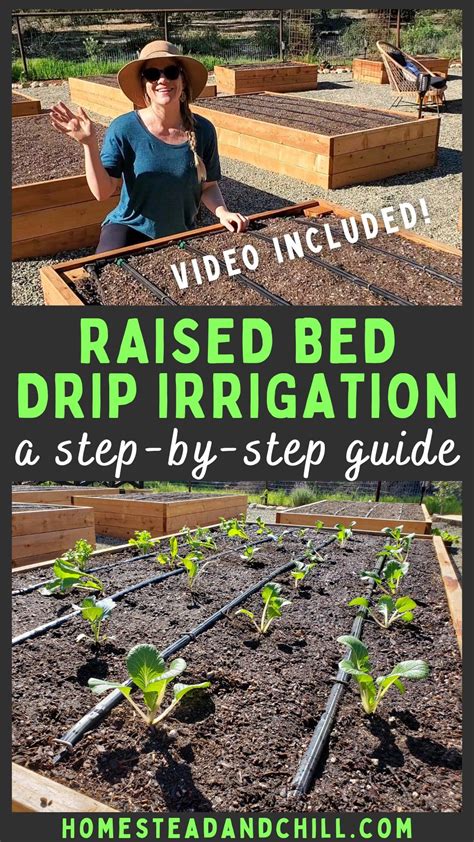 How to Install Drip Irrigation in Raised Garden Beds (Drip Tape ...