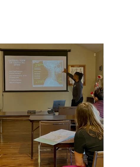 Image result for Dissect