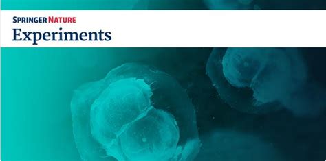 Springer Nature Experiments 的图像结果