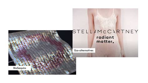 A Breakdown on Landfill Waste Decomposition – REFASH