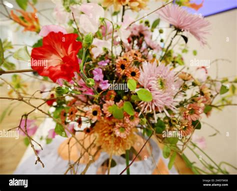 World largest bouquet hi-res stock photography and images - Alamy