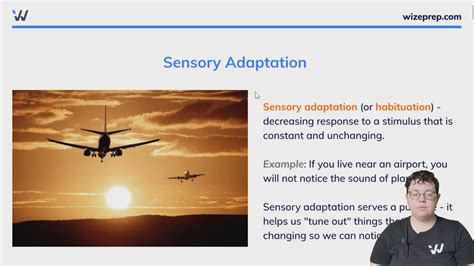 Sensory Adaptation - Wize University Psychology Textbook | Wizeprep