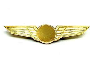 Pilot18 Blank Gold Premium Uniform Wings Electro-Plated Badge for ...