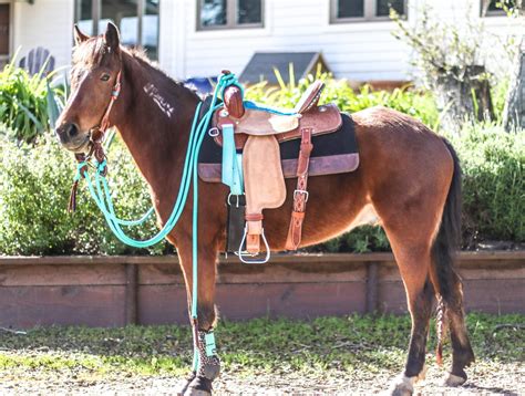 22 Ft Clinician Mecate Reins | Horse tack, Western horse tack, Horses