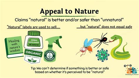 Examples of Fallacies 的图像结果