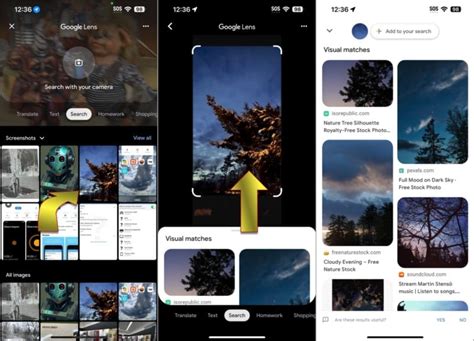 Search Using Image Bing 的图像结果