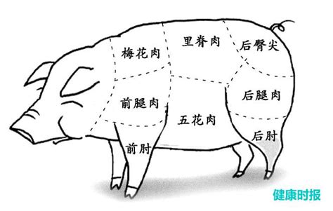 猪身上的梅花肉是哪个部位 猪身上哪个是梅花肉_知秀网