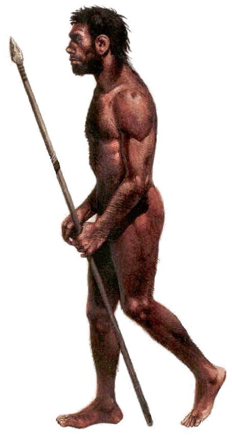 Image result for First Humans