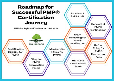 An Overview of the PMP Certification Process and PMP Requirements | PMP ...