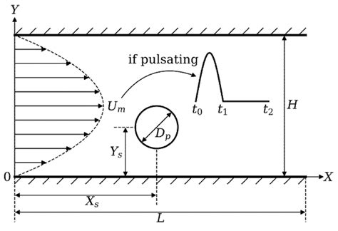 Neutrally Buoyant Particle Migration in Poiseuille Flow Driven by ...