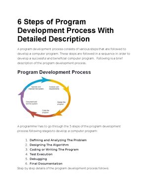 Program Development Process 的图像结果