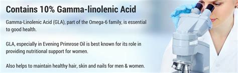 INLIFE Evening Primrose Oil Capsules 500mg | 10% Gamma Lionlenic Acid ...