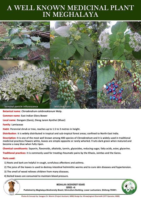 Posters | Official website of Meghalaya Biodiversity Board,Government ...