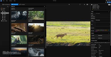 Image result for Edius Video Editing Software