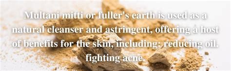 The Forest Herbs Natural Care From Nature Organic Multani Mitti Powder ...