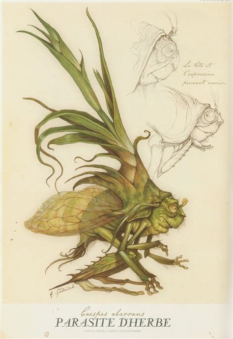 Alien Insects 的图像结果