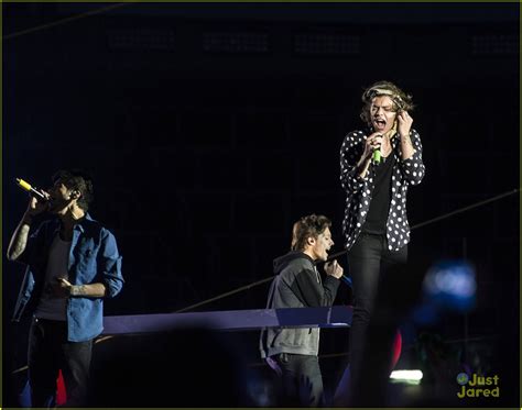 Image result for One Direction Concert Crows Fan Project