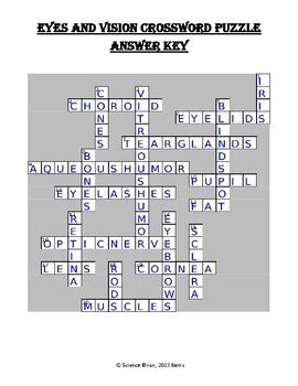 Eye Anatomy & Vision Crossword Puzzle (Senses and Human Anatomy and ...
