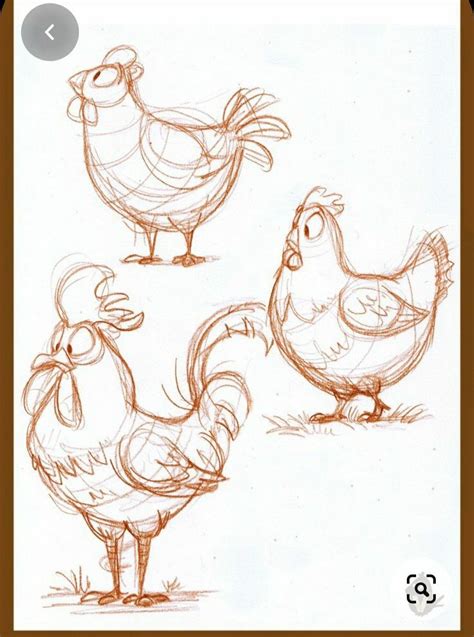 Drawings of Chickens