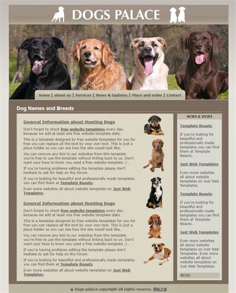 灰色大气的狗狗之家宠物类企业网站模板下载