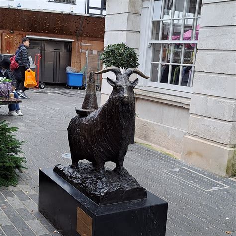 PARTY ANIMAL (2026) All You Need to Know BEFORE You Go (with Photos ...