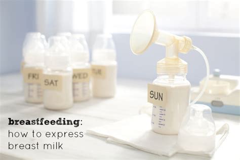 Image result for Hand Expressing Milk Storage