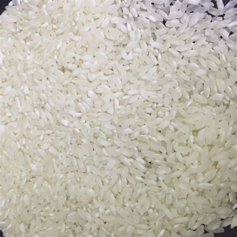 Swarna Non Basmati Rice Manufacturers and Suppliers from Kanchipuram