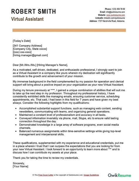 Image result for Virtual Assistant CV Template