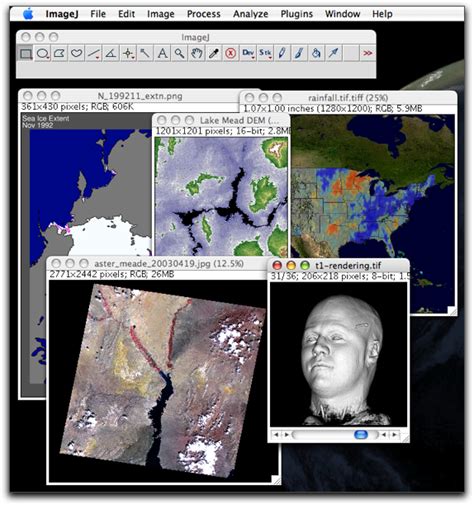 Image result for ImageJ Software Java Version 8