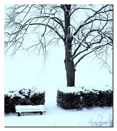 go2india.in : London snow fall