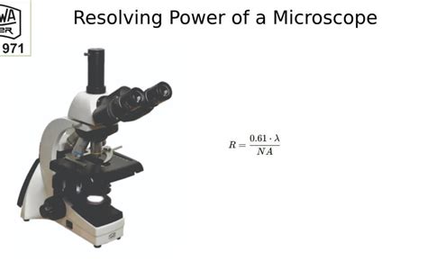 Image result for Microscope Magnification Power