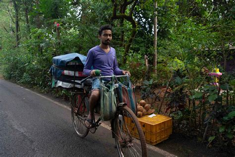 Image result for Goa Fusion