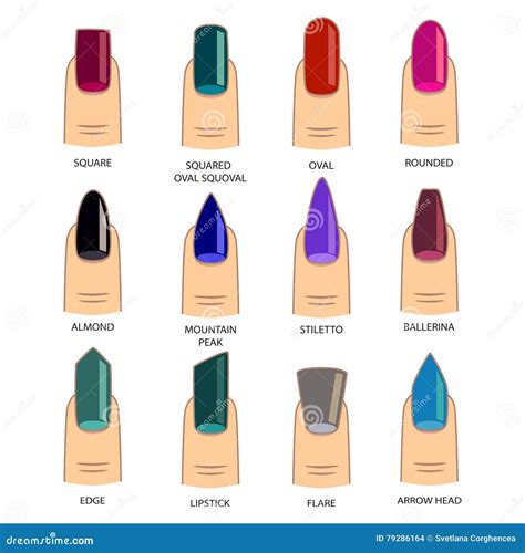 Set of Different Shapes of Nails on White. Nail Shape Icons Stock ...