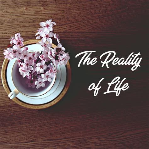 Image result for Reality Live Example