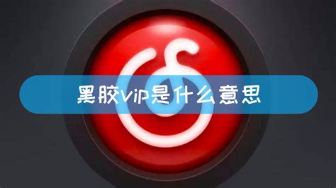 vip是什么意思啊（vip起源于什么时候）_华夏文化传播网