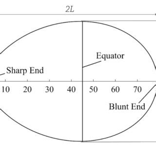 Image result for Egg Shell Shape