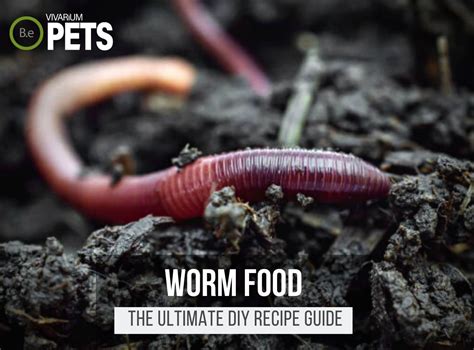 Do Worms Eat Dirt