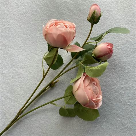 Gadget Ninja - Make Life Better - Official Website