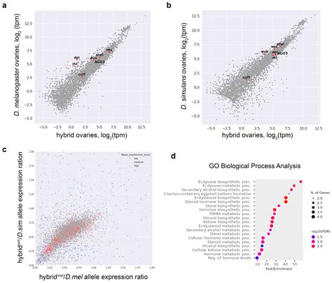 Molecular Insights into Female Hybrid Sterility in Interspecific ...