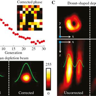 Generating Algorithm Equation 的图像结果