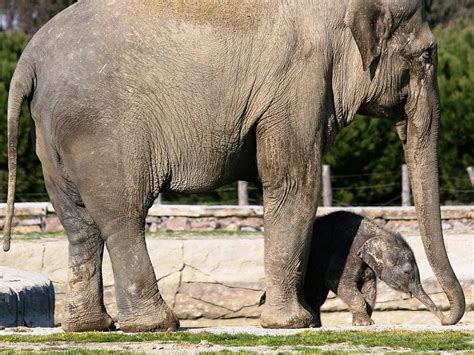 Izmir Tourism (2024): All You Need to Know Before You Go