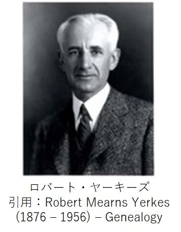 Image result for Jonas Schmedtmann JavaScript
