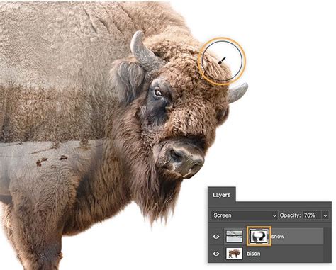 Cómo crear un efecto de doble exposición en Photoshop | Adobe